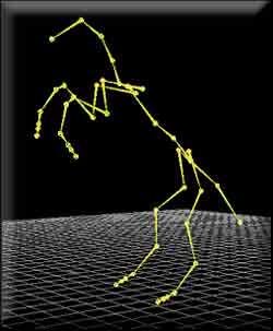 Horse MoCap Data